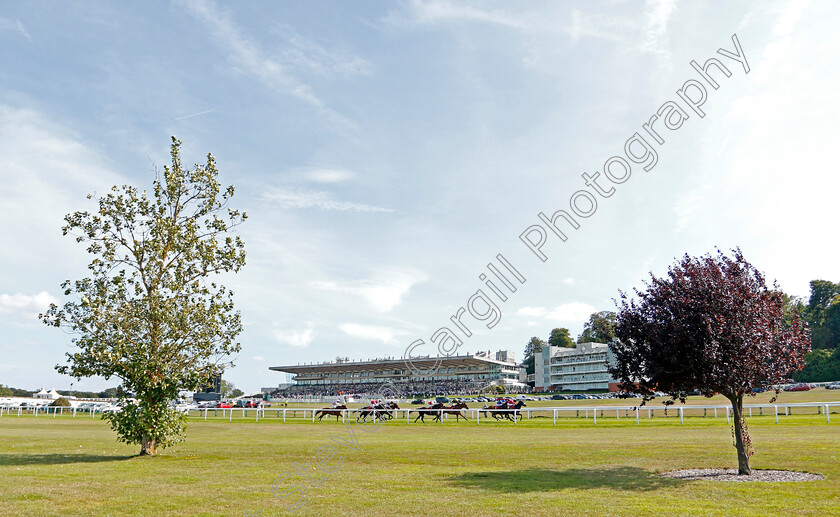 Our-Oystercatcher-0002 
 OUR OYSTERCATCHER (Hector Crouch) wins The Betway Handicap
Sandown 30 Aug 2019 - Pic Steven Cargill / Racingfotos.com