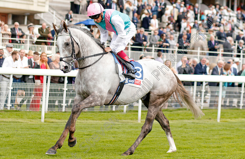 Logician-0003 
 LOGICIAN (Frankie Dettori) before The Sky Bet Great Voltigeur Stakes
York 21 Aug 2019 - Pic Steven Cargill / Racingfotos.com