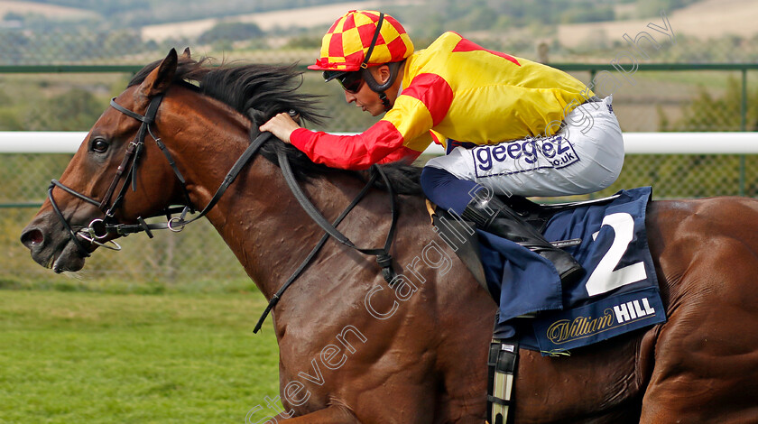 Savvy-Victory-0001 
 SAVVY VICTORY (David Probert) wins The William Hill Handicap
Goodwood 28 Aug 2022 - Pic Steven Cargill / Racingfotos.com