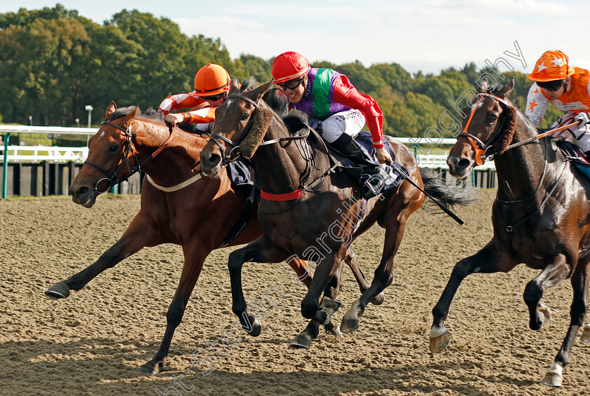 Imphal-0002 
 IMPHAL (centre, Tyler Saunders) beats FULHAM (left) and VEILED SECRET (right) in The #Takethereins Handicap Lingfield 5 Oct 2017 - Pic Steven Cargill / Racingfotos.com