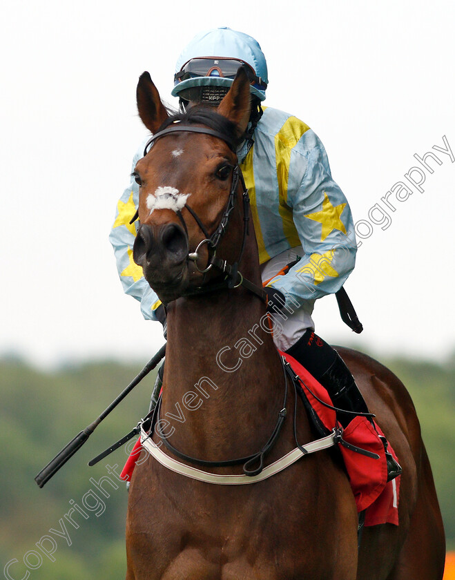 Renegade-Master-0001 
 RENEGADE MASTER (Nicola Currie)
Sandown 30 May 2019 - Pic Steven Cargill / Racingfotos.com