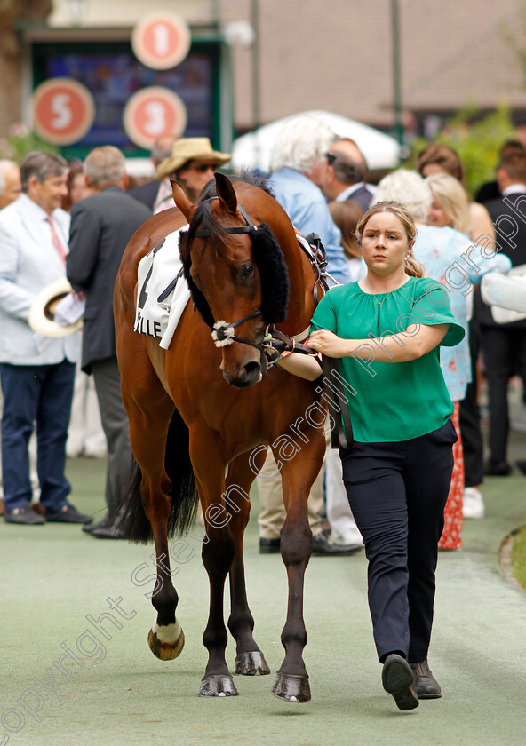 Rock-Hunter-0004 
 ROCK HUNTER 
Deauville 3 Aug 2024 - Pic Steven Cargill / Racingfotos.com