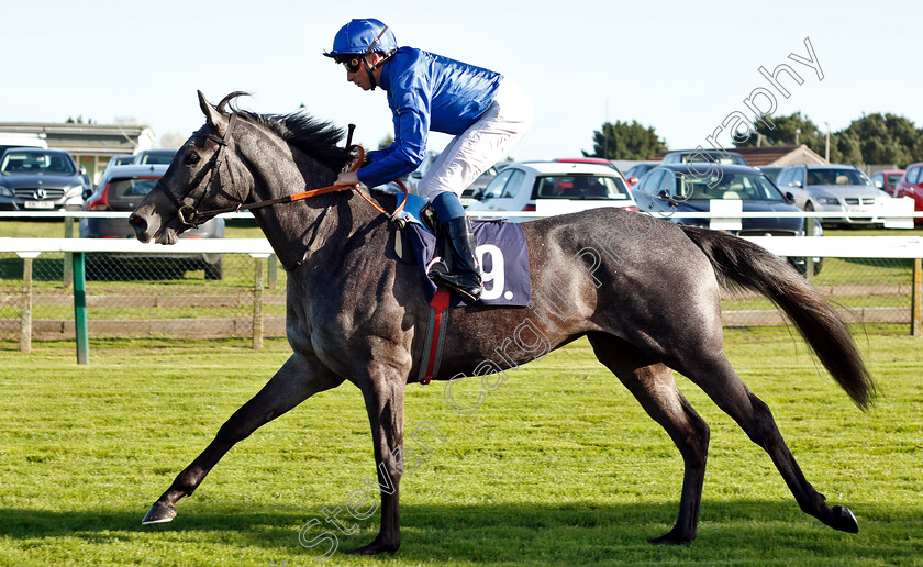 Summer-Flair-0002 
 SUMMER FLAIR (William Buick)
Yarmouth 23 Oct 2018 - Pic Steven Cargill / Racingfotos.com