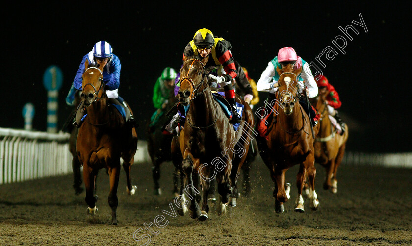 Global-Spectrum-0004 
 GLOBAL SPECTRUM (Gerald Mosse) wins The 32Red Casino ebfstallions.com Novice Stakes Div2
Kempton 21 Nov 2018 - Pic Steven Cargill / Racingfotos.com