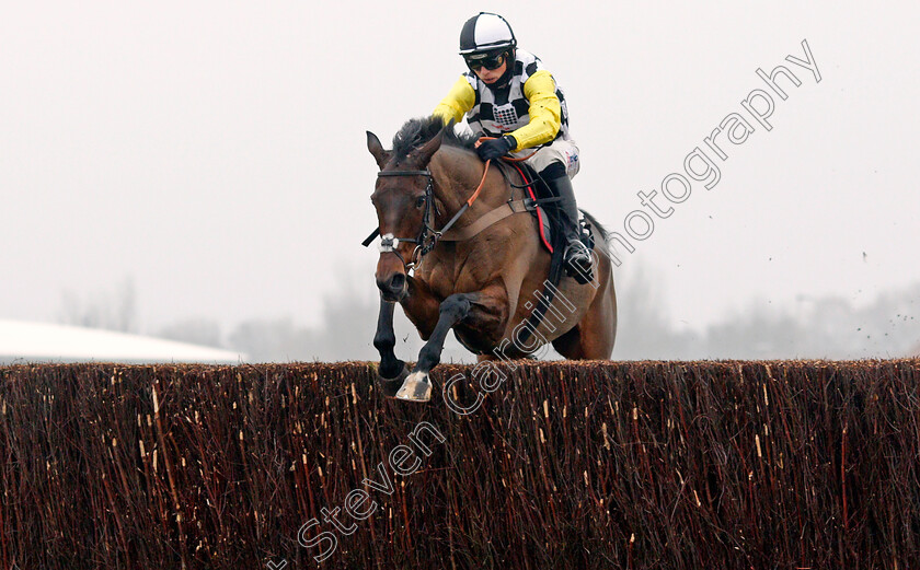 Next-Destination-0003 
 NEXT DESTINATION (Harry Cobden) wins The Ladbrokes John Francome Novices Chase
Newbury 28 Nov 2020 - Pic Steven Cargill / Racingfotos.com