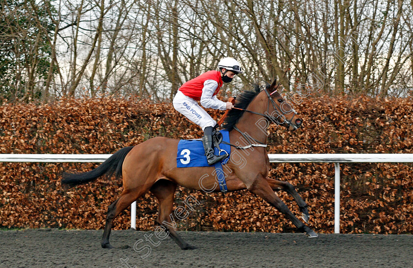 Night-Narcissus-0001 
 NIGHT NARCISSUS (Bradley Harris)
Kempton 24 Feb 2021 - Pic Steven Cargill / Racingfotos.com