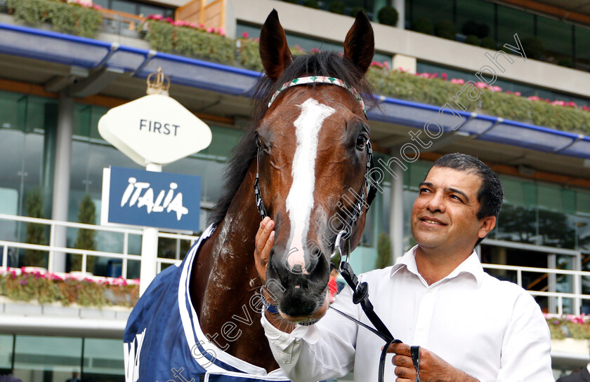 First-Eleven-0010 
 FIRST ELEVEN after The Lavazza Handicap
Ascot 8 Sep 2018 - Pic Steven Cargill / Racingfotos.com