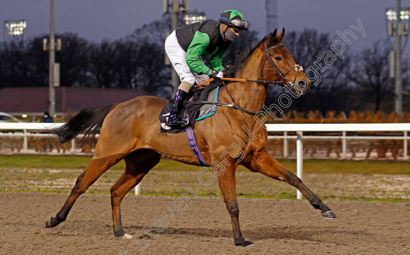 Power-Over-Me-0002 
 POWER OVER ME (Kieran O'Neill) winner of The tote Placepot Your First Bet Median Auction Maiden Stakes
Chelmsford 14 Jan 2021 - Pic Steven Cargill / Racingfotos.com