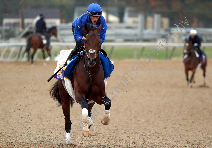 Thunder-Snow-0003 
 THUNDER SNOW exercising ahead of The Breeders' Cup Classic
Churchill Downs USA 30 Oct 2018 - Pic Steven Cargill / Racingfotos.com