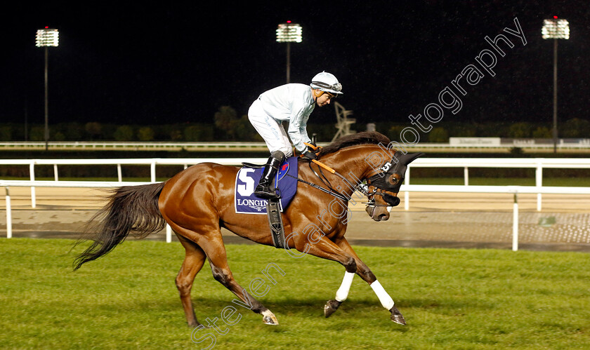 Desert-Peace-0001 
 DESERT PEACE (Tadhg O'Shea)
Meydan 27 Jan 2023 - Pic Steven Cargill / Racingfotos.com