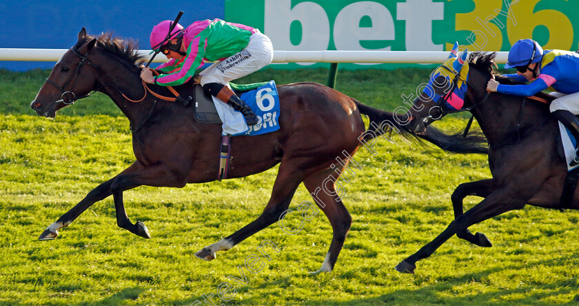 Lady-Boba-0007 
 LADY BOBA (Rossa Ryan) wins The Newmarket Pony Academy Pride Stakes 
Newmarket 11 Oct 2024 - pic Steven Cargill / Racingfotos.com