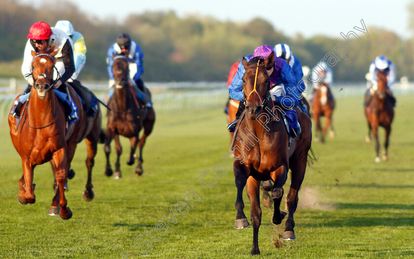 Dubai-Instinct-0003 
 DUBAI INSTINCT (Callum Shepherd) wins The CAstle Beauty Maiden Stakes
Nottingham 20 Apr 2019 - Pic Steven Cargill / Racingfotos.com