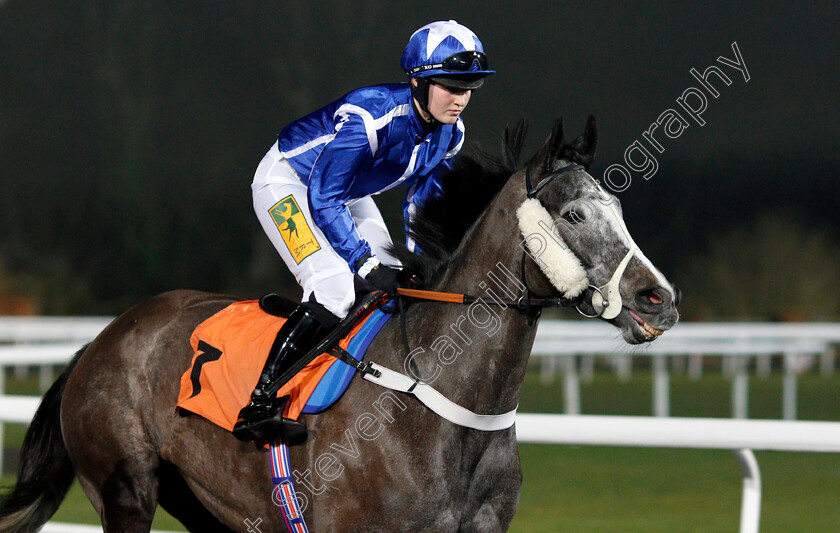 Langlauf-0001 
 LANGLAUF (Abbie McCain) Kempton 10 Jan 2018 - Pic Steven Cargill / Racingfotos.com