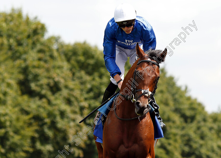 Dreamfield-0003 
 DREAMFIELD (James Doyle)
Newmarket 14 Jul 2018 - Pic Steven Cargill / Racingfotos.com