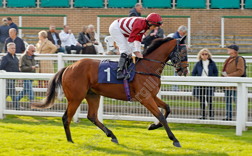 Pocket-The-Profit-0001 
 POCKET THE PROFIT (Ryan Moore) winner of The Free Replays On attheraces.com Nursery
Yarmouth 19 Oct 2021 - Pic Steven Cargill / Racingfotos.com