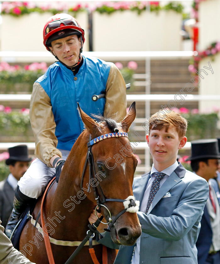 Shareholder-0007 
 SHAREHOLDER (James Doyle) winner of The Norfolk Stakes
Royal Ascot 20 Jun 2024 - Pic Steven Cargill / Racingfotos.com