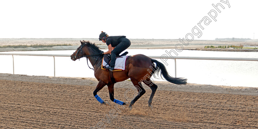 Bangkok-0004 
 BANGKOK training for the Bahrain International Trophy
Rashid Equestrian & Horseracing Club, Bahrain, 18 Nov 2020