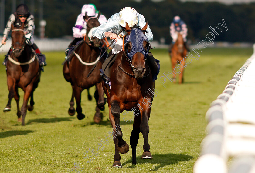 Pivoine-0003 
 PIVOINE (Ryan Moore) wins The Coopers Marquees Classified Stakes Doncaster 15 Sep 2017 - Pic Steven Cargill / Racingfotos.com