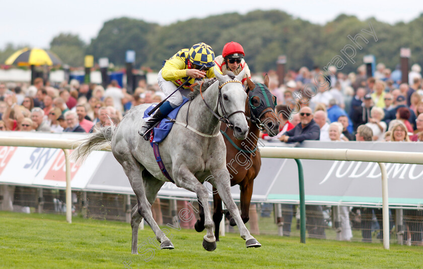 Alfred-Boucher-0003 
 ALFRED BOUCHER (William Buick) wins The Sky Bet Stayers Handicap
York 17 Aug 2022 - Pic Steven Cargill / Racingfotos.com