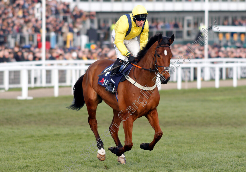 Lostintranslation-0001 
 LOSTINTRANSLATION (Robbie Power)
Cheltenham 14 Mar 2019 - Pic Steven Cargill / Racingfotos.com