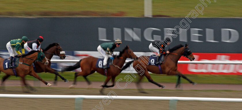 Aleatoric-0001 
 ALEATORIC (Richard Kingscote) wins The Play 4 To Win At Betway Handicap
Lingfield 10 Mar 2021 - Pic Steven Cargill / Racingfotos.com