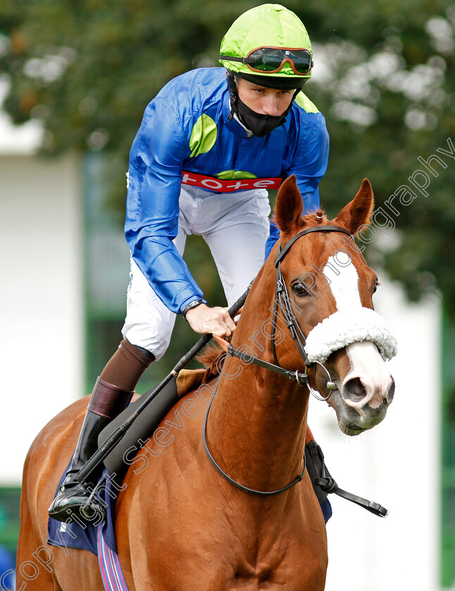 Uganda-Heights-0001 
 UGANDA HEIGHTS (Joshua Bryan)
Yarmouth 15 Jul 2020 - Pic Steven Cargill / Racingfotos.com