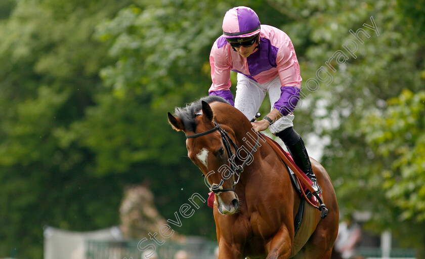 Vertiginous-0002 
 VERTIGINOUS (Tom Marquand)
Haydock 21 May 2022 - Pic Steven Cargill / Racingfotos.com