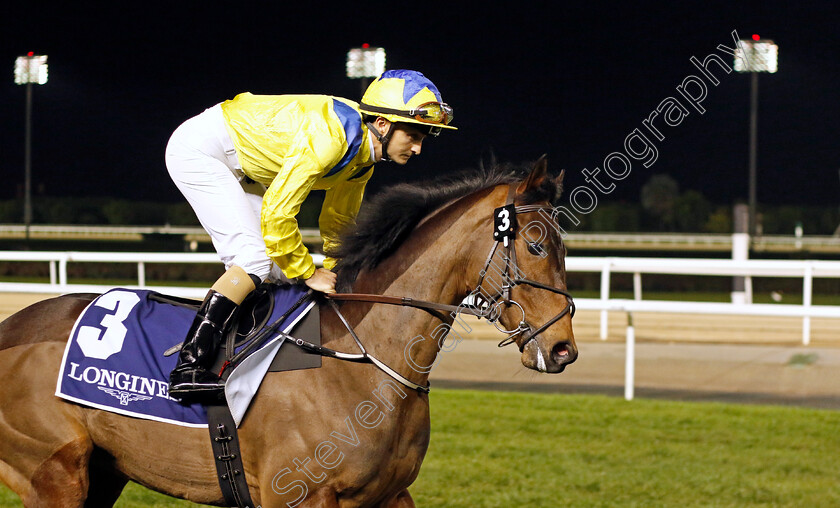 Bay-Of-Plenty-0001 
 BAY OF PLENTY (Danny Sheehy)
Meydan 27 Jan 2023 - Pic Steven Cargill / Racingfotos.com