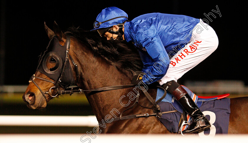 Bosphorus-0001 
 BOSPHORUS (Robert Havlin)
Wolverhampton 12 Mar 2021 - Pic Steven Cargill / Racingfotos.com