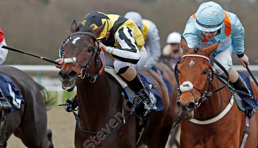 Soldier-On-Parade-0005 
 SOLDIER ON PARADE (left, Gabriele Malune) beats JEN'S FELLA (right) in The Betway Casino Handicap
Lingfield 19 Feb 2021 - Pic Steven Cargill / Racingfotos.com