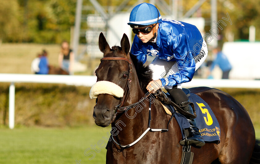 Go-On-Carlras-0001 
 GO ON CARLRAS (Ulrika Holmquist)
Bro Park, Sweden 15 Sep 2024 - Pic Steven Cargill / Racingfotos.com