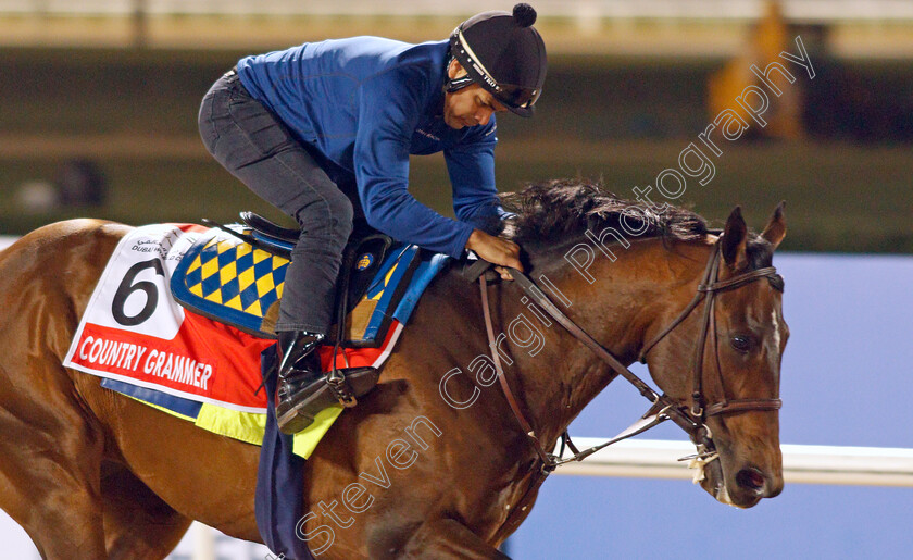 Country-Grammer-0001 
 COUNTRY GRAMMER training for the Dubai World Cup
Meydan, Dubai, 23 Mar 2022 - Pic Steven Cargill / Racingfotos.com