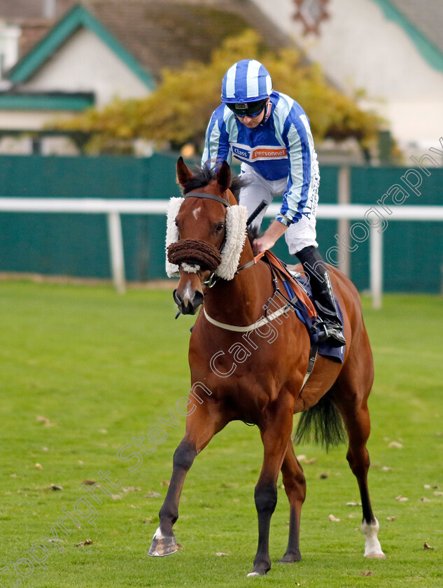 Myconian-0001 
 MYCONIAN (Adam Farragher)
Yarmouth 22 Oct 2024 - Pic Steven Cargill / Racingfotos.com