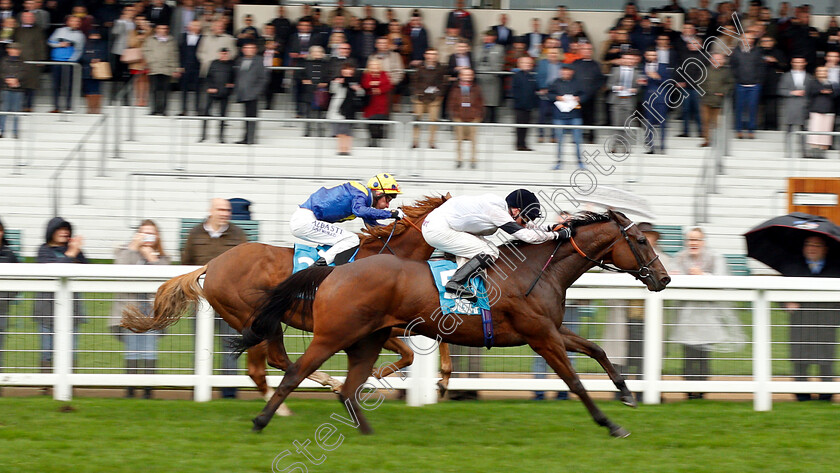 Projection-0006 
 PROJECTION (Kieran Shoemark) wins The John Guest Racing Bengough Stakes
Ascot 6 Oct 2018 - Pic Steven Cargill / Racingfotos.com