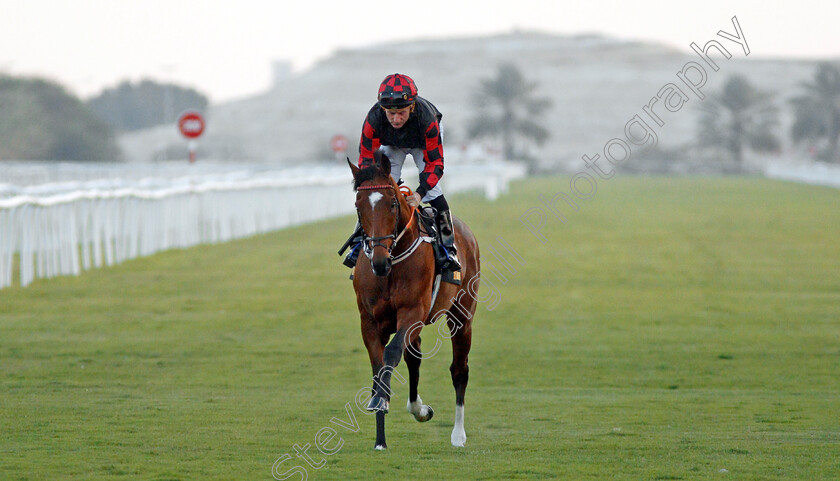 Coolagh-Forest-0001 
 COOLAGH FOREST (John Egan)
Bahrain 22 Nov 2019 - Pic Steven Cargill / Racingfotos.com