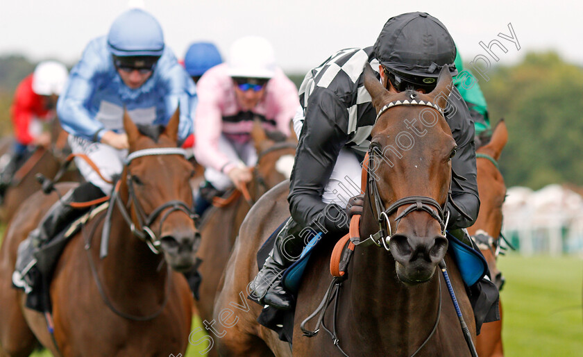 Lavender s-Blue-0005 
 LAVENDER'S BLUE (Jim Crowley) wins The Betway Atalanta Stakes
Sandown 31 Aug 2019 - Pic Steven Cargill / Racingfotos.com