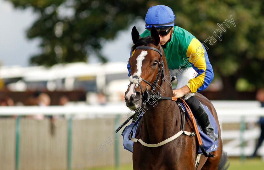 Ipanema-Princess-0001 
 IPANEMA PRINCESS (Tom Marquand)
Newmarket 23 Sep 2022 - Pic Steven Cargill / Racingfotos.com