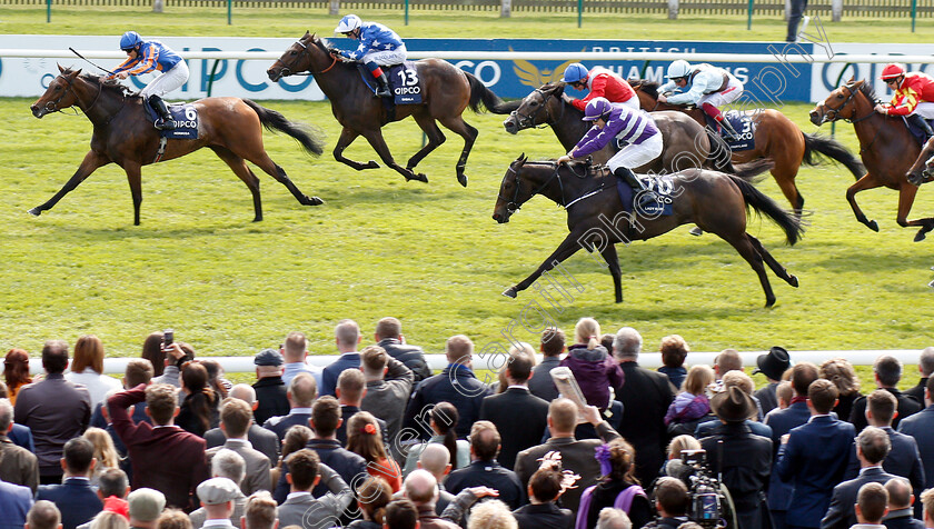 Hermosa-0003 
 HERMOSA (Wayne Lordan) wins The Qipco 1000 Guineas Stakes
Newmarket 5 May 2019 - Pic Steven Cargill / Racingfotos.com