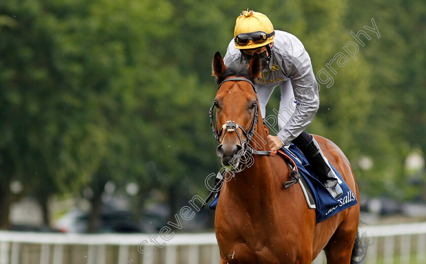 Lusail-0002 
 LUSAIL (Pat Dobbs) winner of The Tattersalls July Stakes
Newmarket 8 Jul 2021 - Pic Steven Cargill / Racingfotos.com