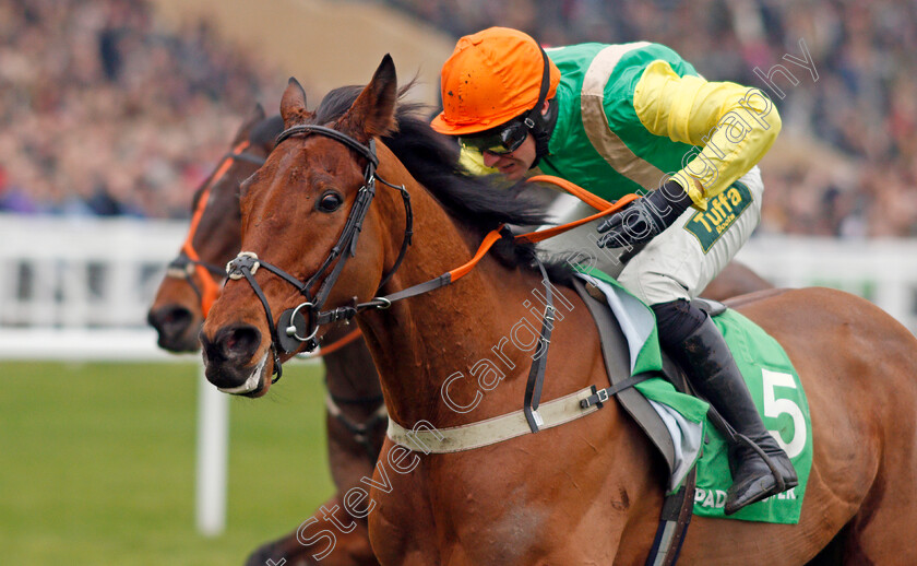 Midnight-Shadow-0007 
 MIDNIGHT SHADOW (Danny Cook) wins The Paddy Power Broken Resolutions Already Dipper Novices Chase
Cheltenham 1 Jan 2020 - Pic Steven Cargill / Racingfotos.com