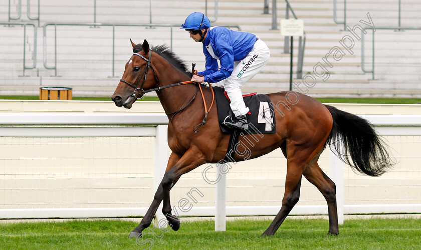 Kosometsuke-0001 
 KOSOMETSUKE (Jack Mitchell)
Ascot 6 Sep 2024 - Pic Steven Cargill / Racingfotos.com