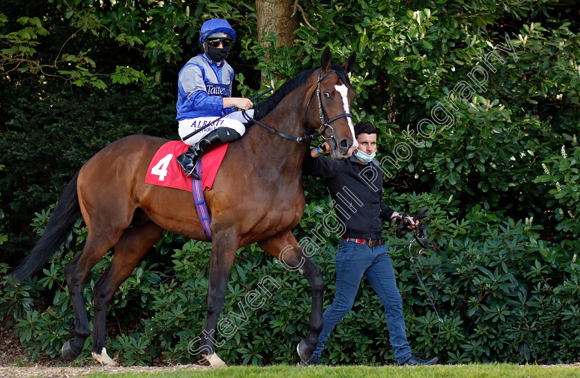 Arthur s-Realm-0001 
 ARTHUR'S REALM (Tom Marquand)
Sandown 23 Apr 2021 - Pic Steven Cargill / Racingfotos.com