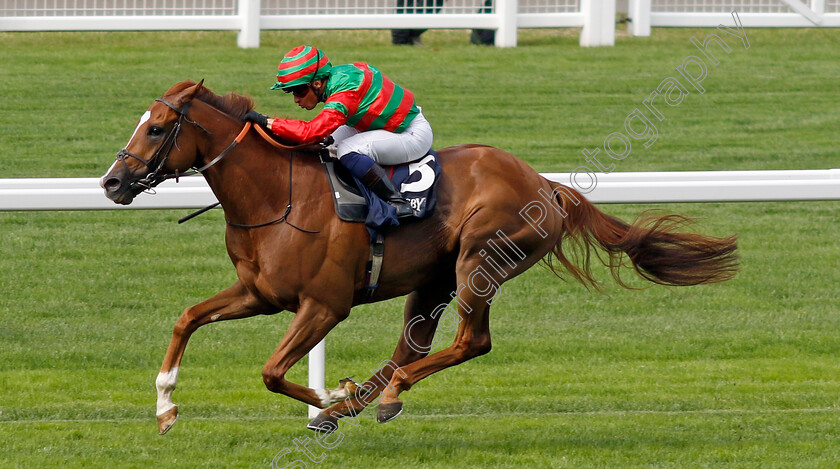 Assail-0001 
 ASSAIL (Silvestre De Sousa) wins The Slingsby Gin Handicap
Ascot 26 Jul 2024 - Pic Steven Cargill / Racingfotos.com