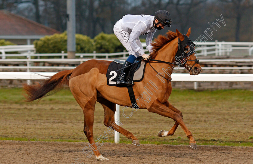 Dutch-Light-0001 
 DUTCH LIGHT (Callum Shepherd)
Chelmsford 27 Nov 2021 - Pic Steven Cargill / Racingfotos.com