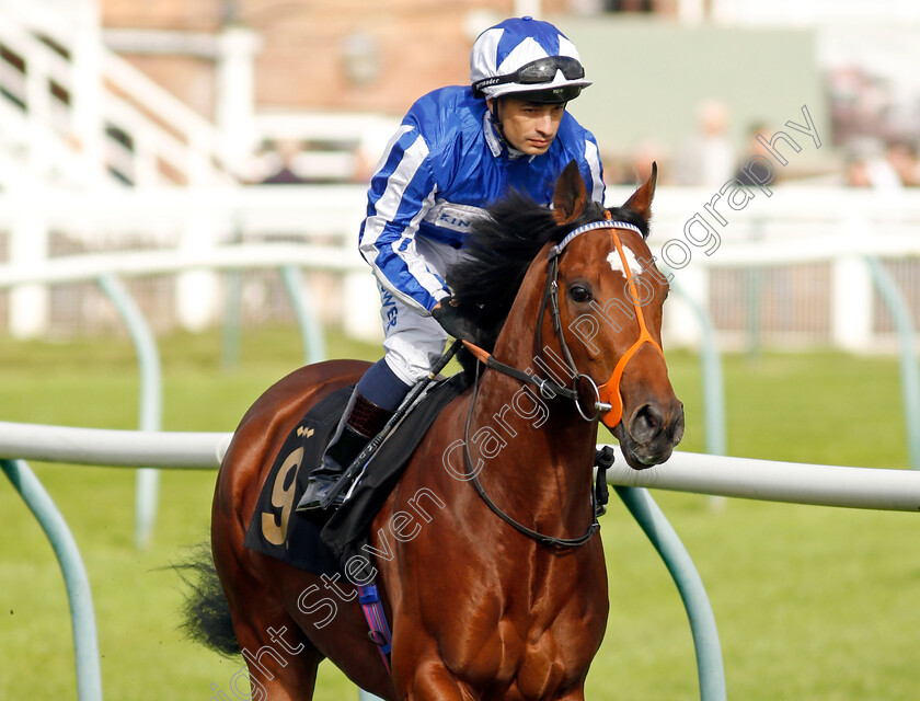 Windseeker-0002 
 WINDSEEKER (Silvestre De Sousa)
Nottingham 13 Oct 2021 - Pic Steven Cargill / Racingfotos.com