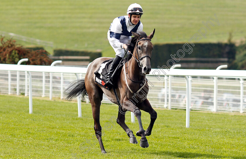 Bella-Vita-0001 
 BELLA VITA (Charles Bishop)
Goodwood 4 Sep 2018 - Pic Steven Cargill / Racingfotos.com