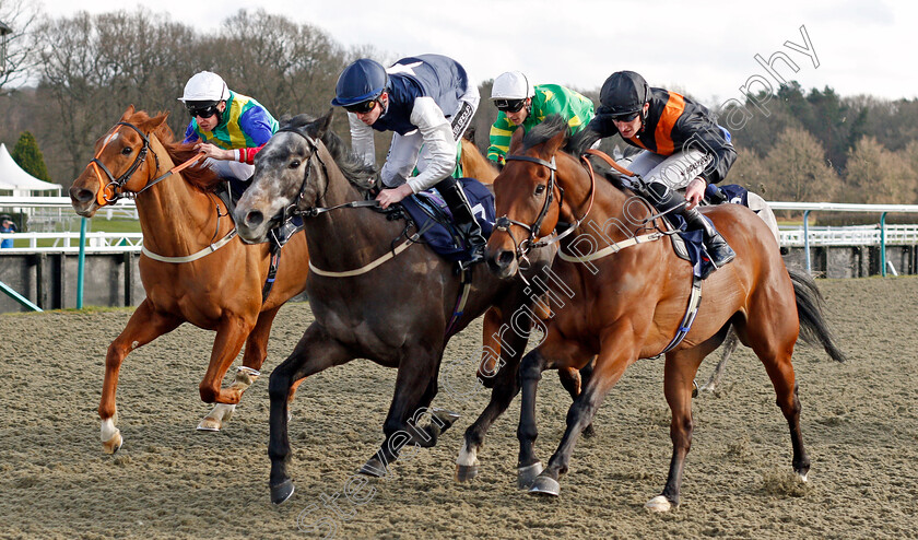 Mabre-0004 
 MABRE (centre, Darragh Keenan) beats MR FUSTIC (right) and WINNETKA (left) in The Mansionbet Proud Partners Of The AWC Handicap
Lingfield 9 Mar 2022 - Pic Steven Cargill / Racingfotos.com