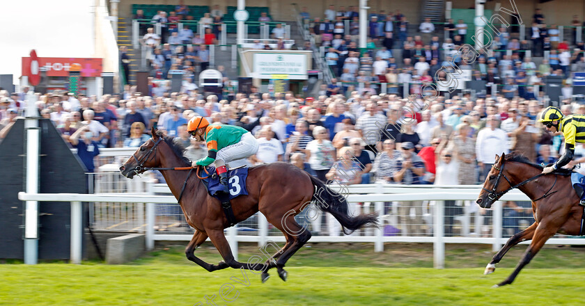 Lord-Of-Biscay-0004 
 LORD OF BISCAY (Andrea Atzeni) wins The EBF Future Stayers Maiden Stakes
Yarmouth 14 Sep 2022 - Pic Steven Cargill / Racingfotos.com