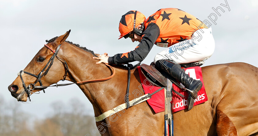 Mambonumberfive-0005 
 MAMBONUMBERFIVE (Ben Jones) wins The Ladbrokes Adonis Juvenile Hurdle
Kempton 22 Feb 2025 - Pic Steven Cargill / Racingfotos.com