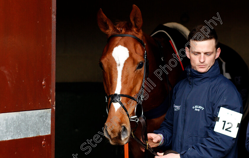 Samcro-0002 
 SAMCRO before The Ballymore Novices Hurdle Cheltenham 14 Mar 2018 - Pic Steven Cargill / Racingfotos.com